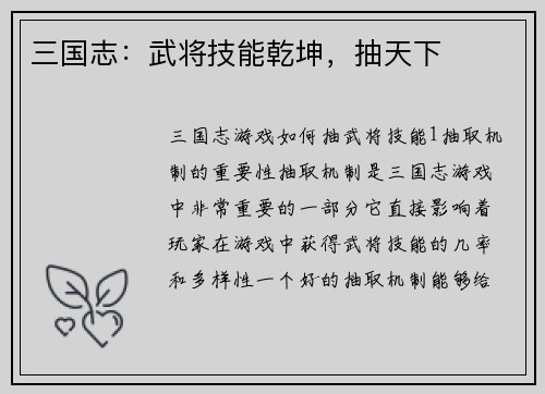 三国志：武将技能乾坤，抽天下